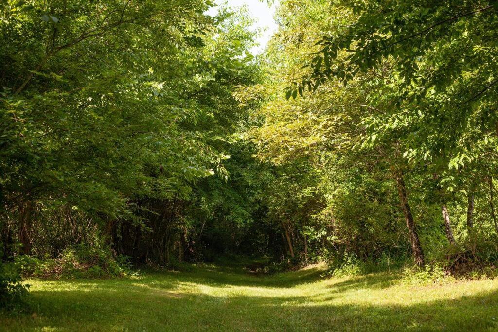 River Runs Through It -Cottage On 70 Acre Winery Mount Airy Luaran gambar