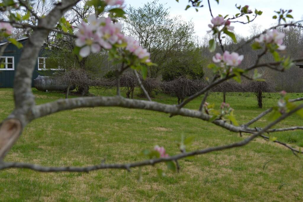River Runs Through It -Cottage On 70 Acre Winery Mount Airy Luaran gambar