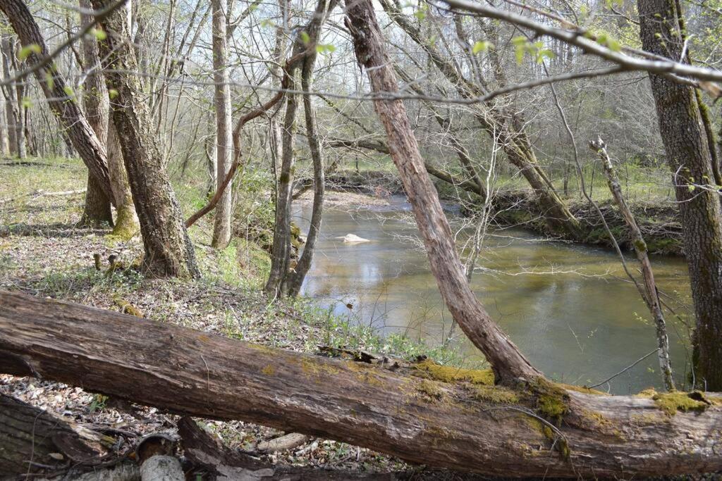 River Runs Through It -Cottage On 70 Acre Winery Mount Airy Luaran gambar