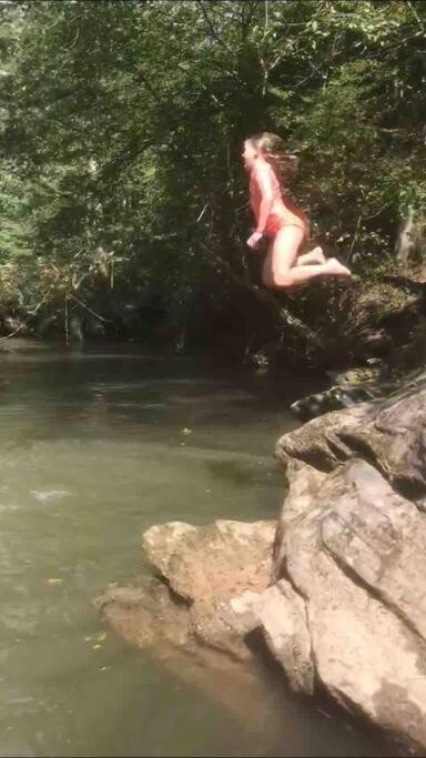 River Runs Through It -Cottage On 70 Acre Winery Mount Airy Luaran gambar