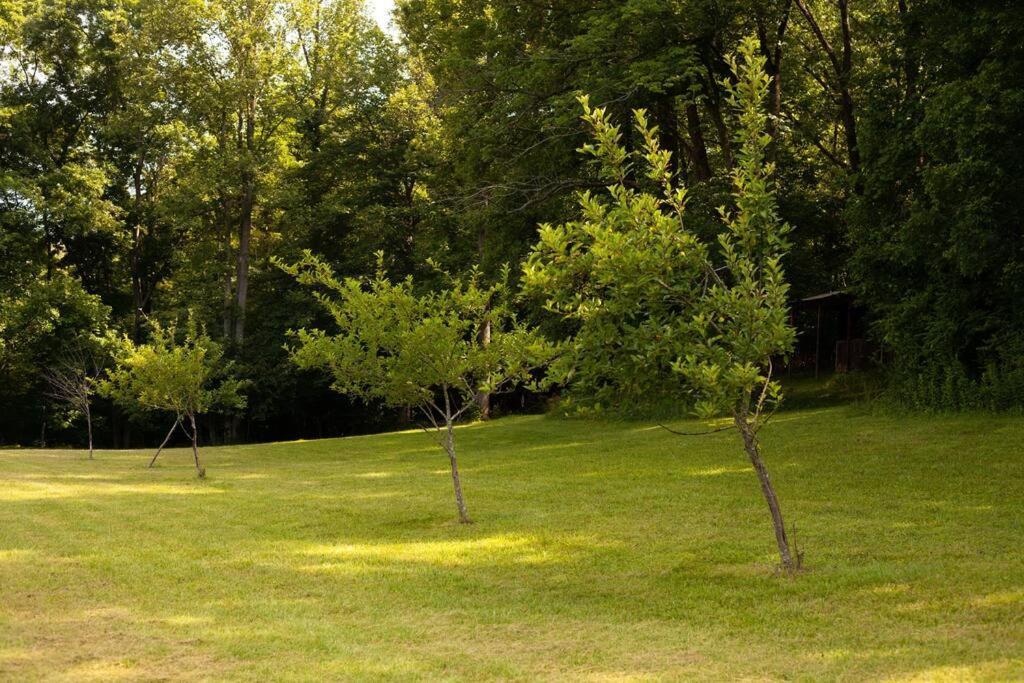 River Runs Through It -Cottage On 70 Acre Winery Mount Airy Luaran gambar